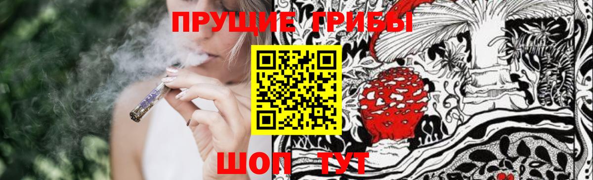 Грозный  Галлюциногенные грибы MAGIC MUSHROOMS  Псилоцибиновые грибы GOLDEN TEACHER  Вход с VPN 